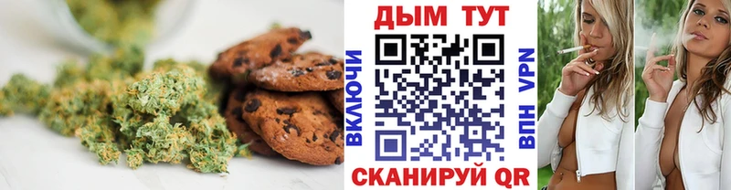 дарнет шоп  Высоцк  Cannafood конопля 