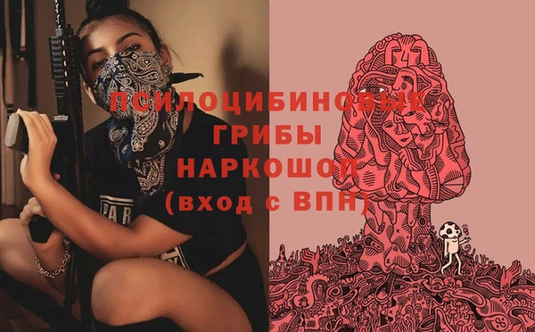спиды Ростов