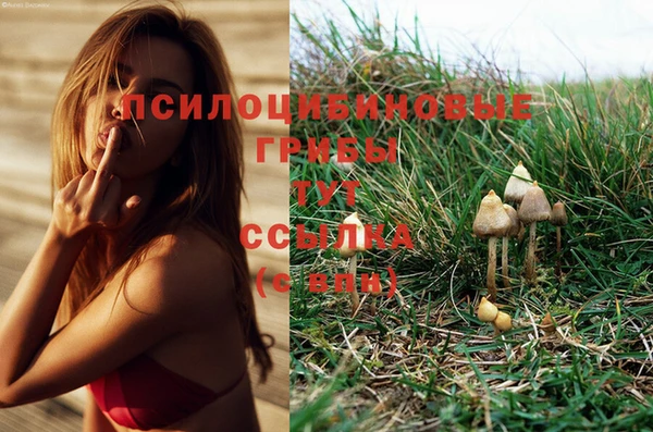 марки lsd Россошь