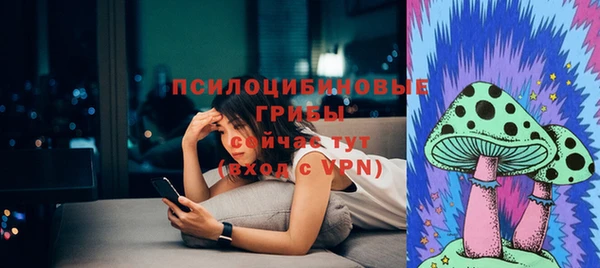jwh Белокуриха