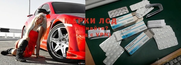 спиды Ростов