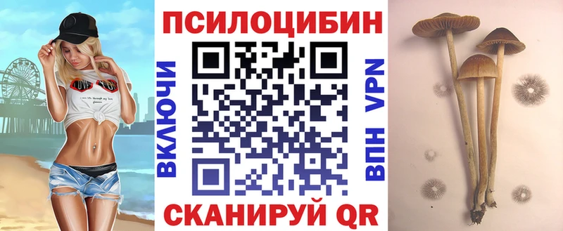 ОМГ ОМГ вход  darknet наркотические препараты  Галлюциногенные грибы мухоморы  Высоцк 